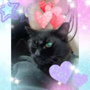 ヒメ日記 2026/01/24 00:37 投稿 みさと ギン妻パラダイス 十三店