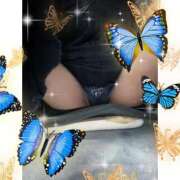 ヒメ日記 2026/03/01 11:53 投稿 みさと ギン妻パラダイス 十三店