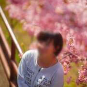 ヒメ日記 2025/04/12 19:42 投稿 綾波　しおり 夜這い＆イメクラ妄想する女学生たち谷九校