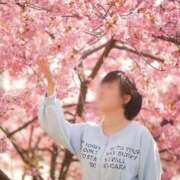 ヒメ日記 2025/04/19 10:02 投稿 綾波　しおり 夜這い＆イメクラ妄想する女学生たち谷九校