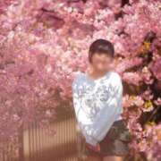 ヒメ日記 2025/04/22 17:52 投稿 綾波　しおり 夜這い＆イメクラ妄想する女学生たち谷九校