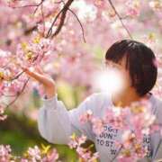 ヒメ日記 2025/04/28 21:52 投稿 綾波　しおり 夜這い＆イメクラ妄想する女学生たち谷九校