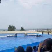 ヒメ日記 2025/06/22 16:52 投稿 綾波　しおり 夜這い＆イメクラ妄想する女学生たち谷九校