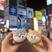 ヒメ日記 2025/07/17 02:02 投稿 綾波　しおり 夜這い＆イメクラ妄想する女学生たち谷九校