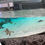 ヒメ日記 2025/08/04 18:51 投稿 綾波　しおり 夜這い＆イメクラ妄想する女学生たち谷九校