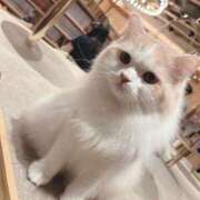 ヒメ日記 2025/08/18 11:52 投稿 綾波　しおり 夜這い＆イメクラ妄想する女学生たち谷九校