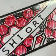 ヒメ日記 2026/01/15 22:32 投稿 綾波　しおり 夜這い＆イメクラ妄想する女学生たち谷九校