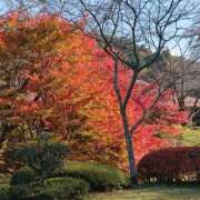 ヒメ日記 2025/11/21 12:35 投稿 みよ 即アポ奥さん〜名古屋店〜