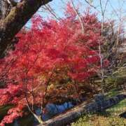 ヒメ日記 2025/11/23 12:03 投稿 みよ 即アポ奥さん〜名古屋店〜