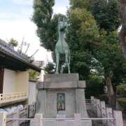 ヒメ日記 2026/01/07 10:45 投稿 みよ 即アポ奥さん〜名古屋店〜