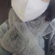 ヒメ日記 2026/02/02 09:53 投稿 みよ 即アポ奥さん〜名古屋店〜