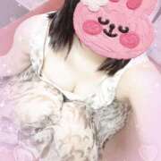 ティンカーベル まさかの👀 AMOUR（アムール）