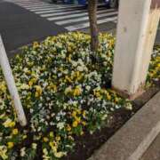 ヒメ日記 2024/12/27 07:32 投稿 風花【ふうか】 輝女