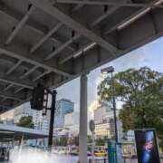 ヒメ日記 2025/01/20 17:07 投稿 風花【ふうか】 輝女