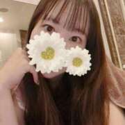 ヒメ日記 2025/02/01 18:52 投稿 風花【ふうか】 輝女