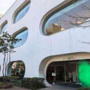 ヒメ日記 2025/02/08 17:15 投稿 風花【ふうか】 輝女