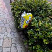 ヒメ日記 2025/02/16 06:38 投稿 風花【ふうか】 輝女