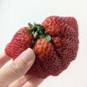 ヒメ日記 2025/02/27 21:03 投稿 風花【ふうか】 輝女