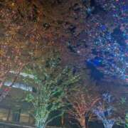 ヒメ日記 2025/11/21 23:10 投稿 風花【ふうか】 輝女