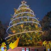 ヒメ日記 2025/12/25 22:48 投稿 風花【ふうか】 輝女