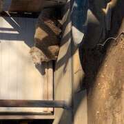 ヒメ日記 2025/02/24 12:24 投稿 ゆきな 西川口淑女館