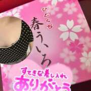 ヒメ日記 2025/05/04 13:44 投稿 すみれ Hip's千葉駅前店