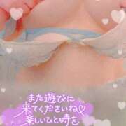 ヒメ日記 2025/11/09 11:22 投稿 すみれ Hip's千葉駅前店