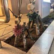 すみれ 頭から離れない Hip's千葉駅前店