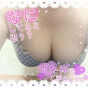 ヒメ日記 2026/07/20 09:02 投稿 すみれ Hip's千葉駅前店