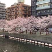 ヒメ日記 2025/04/10 07:30 投稿 三井りな お色気物語（横浜ハレ系）