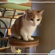 ヒメ日記 2025/07/21 07:30 投稿 三井りな お色気物語（横浜ハレ系）