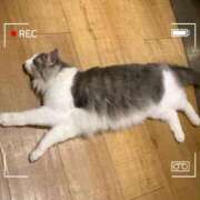 ヒメ日記 2025/08/23 07:18 投稿 三井りな お色気物語（横浜ハレ系）