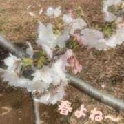 ヒメ日記 2026/04/04 06:57 投稿 三井りな お色気物語（横浜ハレ系）