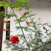 ヒメ日記 2025/10/14 16:28 投稿 片桐 品川やすらぎ