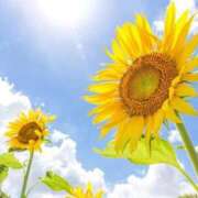 ヒメ日記 2025/07/07 23:06 投稿 のどか あなたの願望即！叶えます～本格的夜這い痴漢専門店～