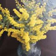 ヒメ日記 2026/04/07 01:38 投稿 りか タレント倶楽部Around40