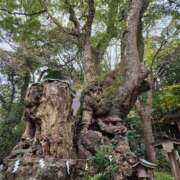 ヒメ日記 2025/01/08 07:58 投稿 さゆり ニューヨークニューヨーク