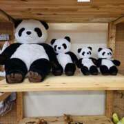 ヒメ日記 2025/01/22 11:42 投稿 さゆり ニューヨークニューヨーク