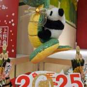 ヒメ日記 2025/01/29 08:09 投稿 さゆり ニューヨークニューヨーク