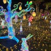 ヒメ日記 2025/02/05 20:01 投稿 さゆり ニューヨークニューヨーク