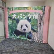 ヒメ日記 2025/03/20 16:40 投稿 さゆり ニューヨークニューヨーク