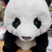 ヒメ日記 2025/03/26 08:07 投稿 さゆり ニューヨークニューヨーク