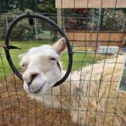 ヒメ日記 2025/04/01 19:22 投稿 さゆり ニューヨークニューヨーク