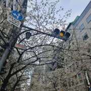 ヒメ日記 2025/04/08 10:39 投稿 さゆり ニューヨークニューヨーク