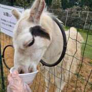 ヒメ日記 2025/04/22 08:06 投稿 さゆり ニューヨークニューヨーク