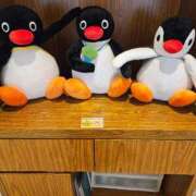 ヒメ日記 2025/05/13 08:51 投稿 さゆり ニューヨークニューヨーク