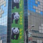 ヒメ日記 2025/06/11 10:36 投稿 さゆり ニューヨークニューヨーク