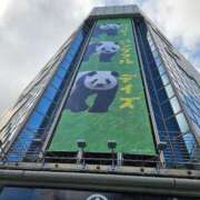 ヒメ日記 2025/06/17 19:40 投稿 さゆり ニューヨークニューヨーク