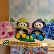 ヒメ日記 2025/06/25 08:04 投稿 さゆり ニューヨークニューヨーク