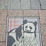 ヒメ日記 2025/07/15 08:05 投稿 さゆり ニューヨークニューヨーク